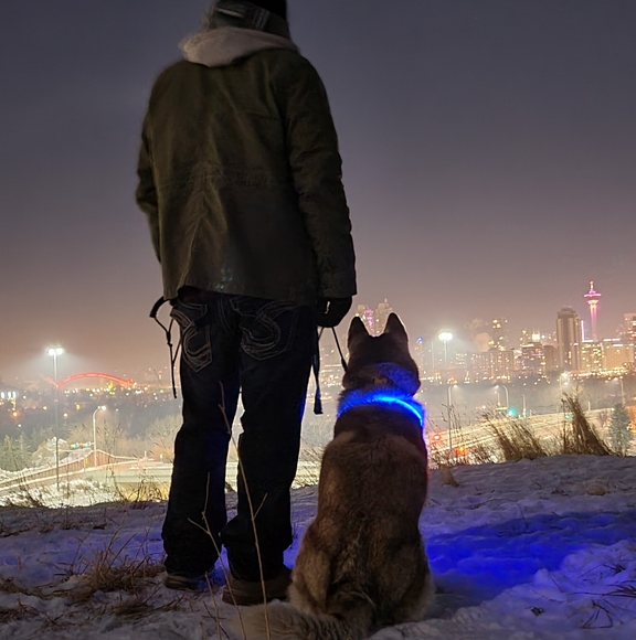 Meet your Posher, Josh - Picture 1 of 1